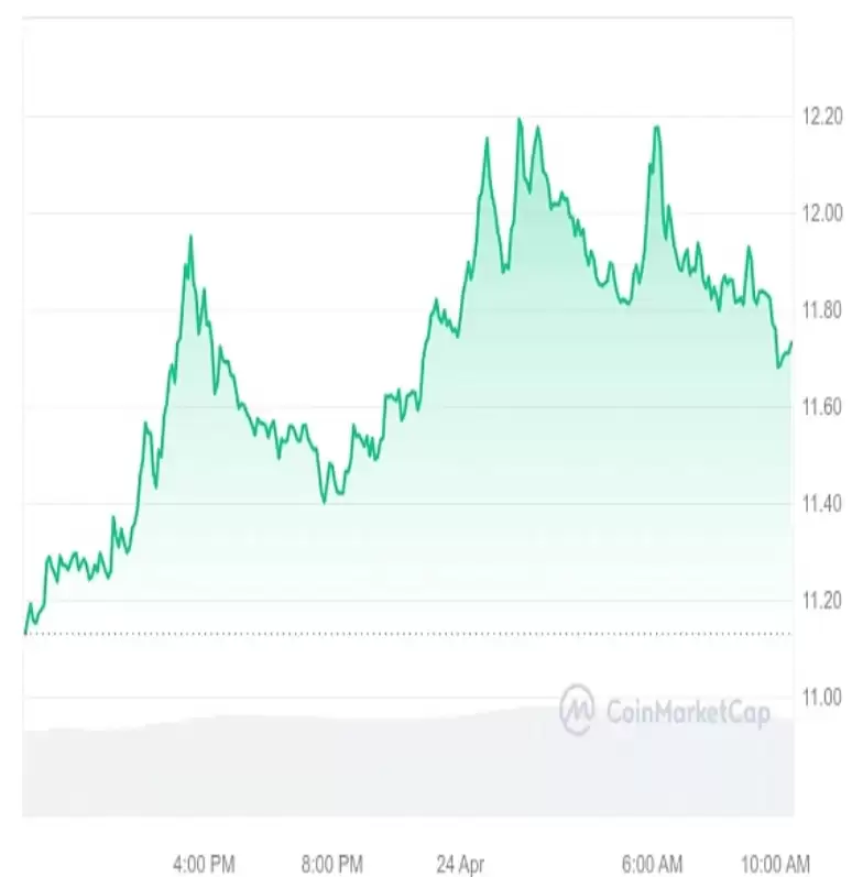 牛市手里必须拥有的5种加密货币盘点