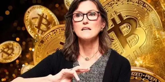 女股神Cathie Wood:比特币2030目标价上看380万美元