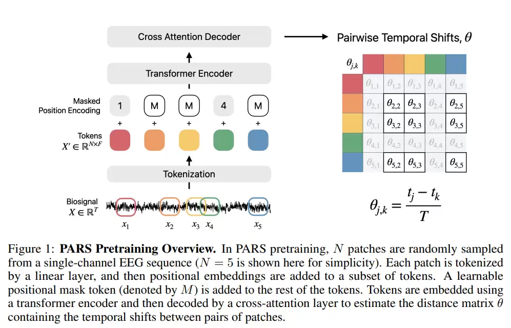 AirPods 将变“读心”设备：苹果 AI 新研究暗示未来耳机可读取脑电波