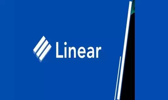 LINA币长期持有价值分析