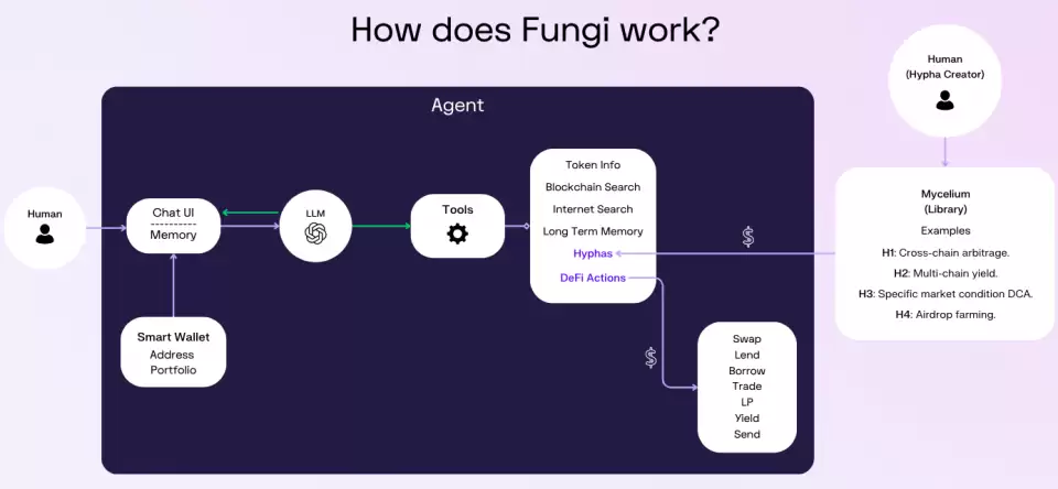 有哪些值得关注的AI代理类型及项目