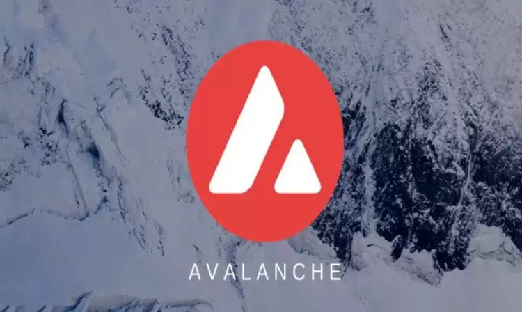 雪崩币是山寨币吗？AVAX币/雪崩币有投资价值吗？