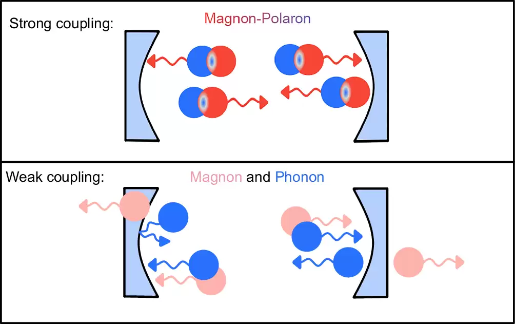 6G 网络关键突破:“混血”波将重铸通信底层逻辑