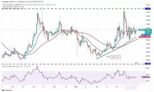 瑞波币价格走势图