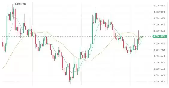 2025年牛市有望实现100~1000倍飙升的四种山寨币!