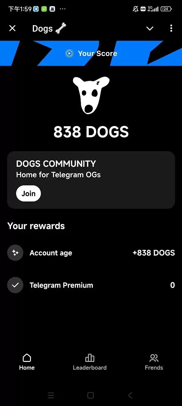 Dogs代币用户增长数据