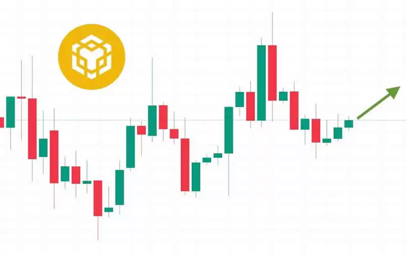 BNB价格预测:1,000美元是BNB的下一个里程碑吗？