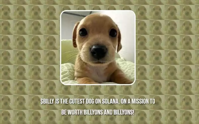 BILLY币是什么?值得投资吗?BILLY币价格预测