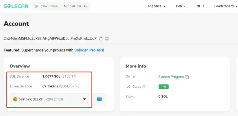 探索十大Meme币高手的wallet地址及其投资战果