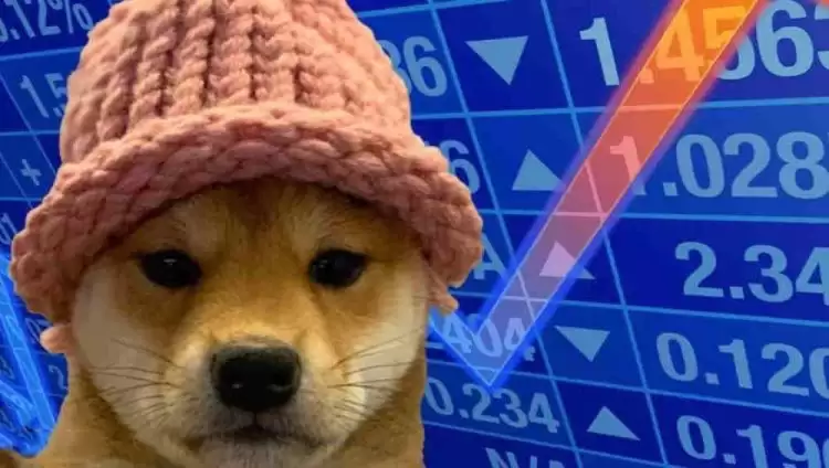 WIF币什么时候上线？WIF币发行时间介绍