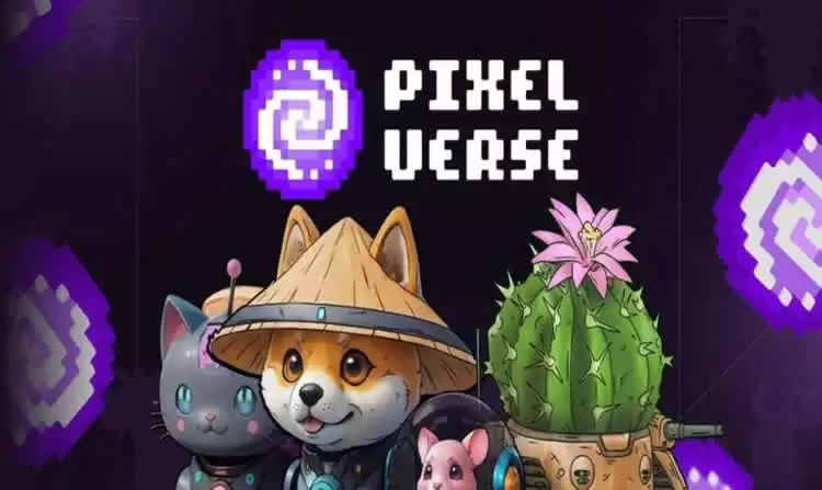 Telegram游戏Pixeltap是什么?怎么玩?如何埋伏Pixeltap空投?