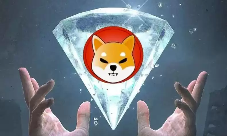 SHIB币和DOGE币谁将是MemeCoin之王