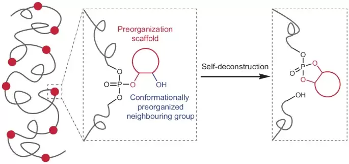 科学家开发可自然降解塑料：周期控制至年/月/日，结构设计借鉴 DNA 与蛋白质
