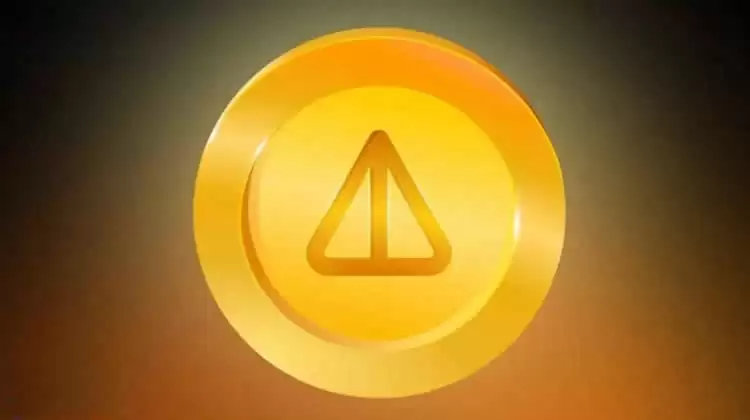 分析师预测:NOT币能否突破1美元？