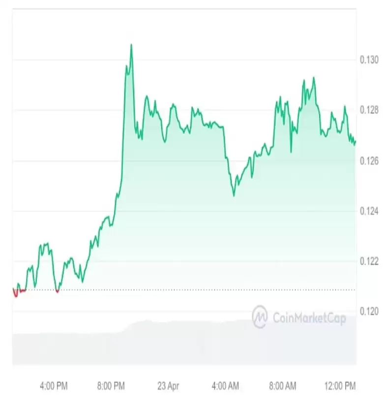 牛市比特币减半后暴涨的加密货币盘点