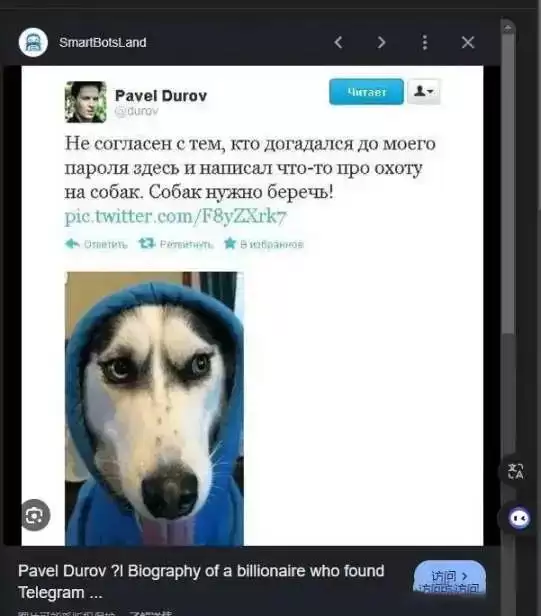 迅速走红的黑白狗DOGS是什么？一文详解DOGS币