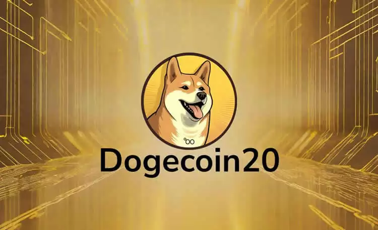 Dogecoin20(DOGE20)币是什么？DOGE20币未来前景如何？