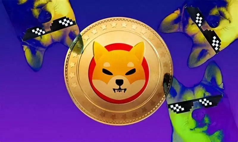 SHIB币未来价格预测:柴犬币SHIB能涨到0.5美元吗?