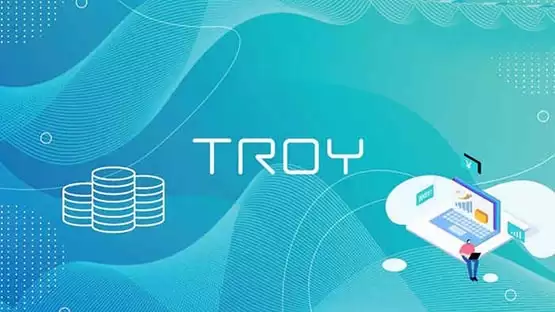 TROY币是什么？TROY币前景及价值深度分析