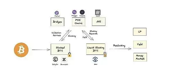 BTC生态潜力探析