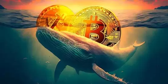 逢低买进！大户巨鲸7月狂购8.4万枚比特币 价值54亿美元