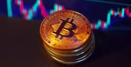 女股神Cathie Wood:比特币2030目标价上看380万美元