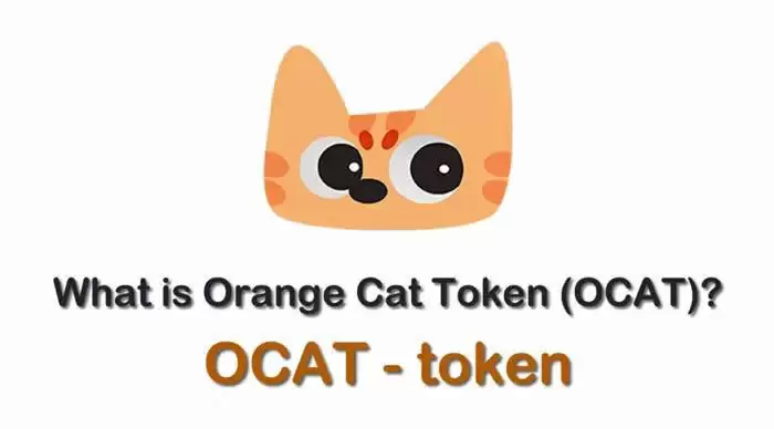 OCAT币是什么币种？OCAT橘猫币全面介绍