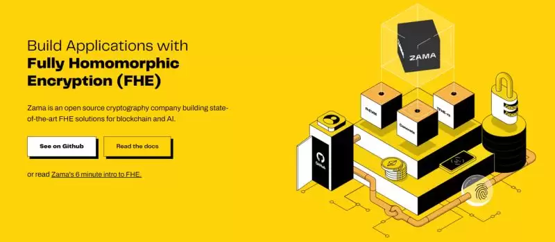 FHE全同态加密是什么?FHE生态项目盘点