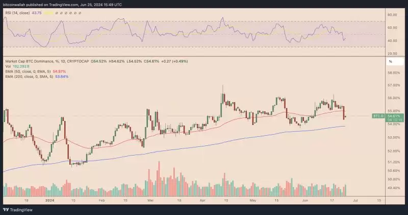 为什么Solana(SOL)价格今天突然上涨?详解SOL价格上涨原因