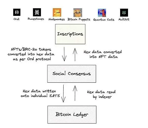 BTC生态潜力探析