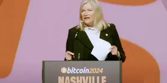 美国参议员Cynthia Lummis提桉：让美国买下100万枚比特币