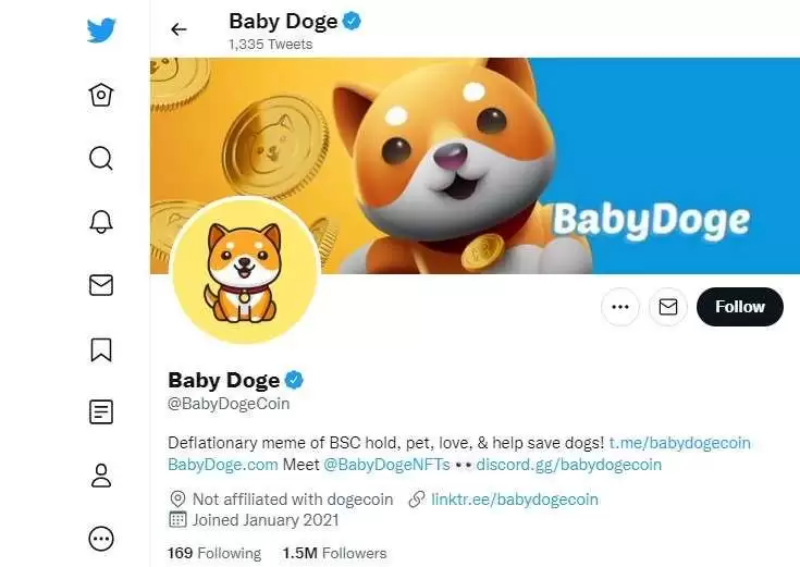 宝贝狗币未来如何？会成为下一个狗币吗？BabyDoge币价格预测