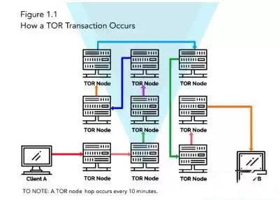 XVG（Verge）是什么币？XVG币价格走势分析及未来预测