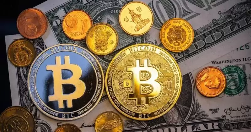 TON币前景:从开发者角度看TON未来增长潜力(附黑客松优质项目)