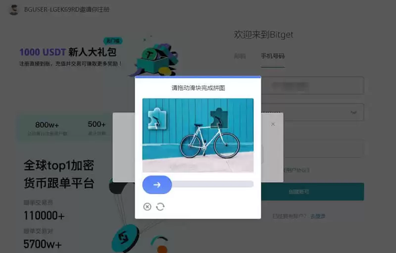 TAO币验证流程示意图