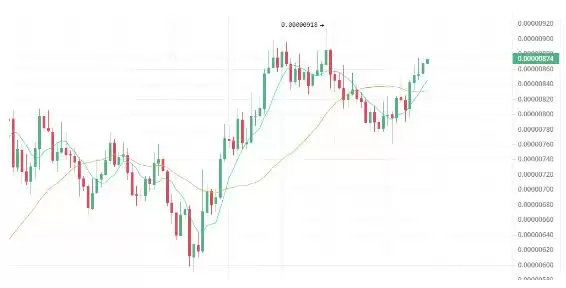 2025年牛市有望实现100~1000倍飙升的四种山寨币!