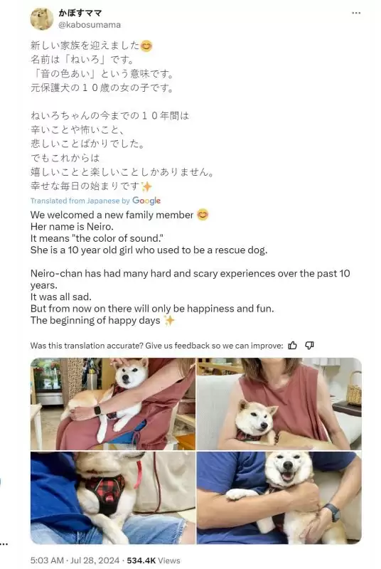Neiro是什么币?复盘Neiro新币两天市值近五千万美元