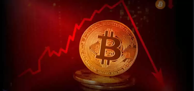 合约买币本位还是U本位?有啥区别?