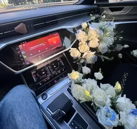 2025款奥迪A6L提车记：科技与优雅并存