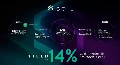 2025 年最值得购买的5种RWA加密货币