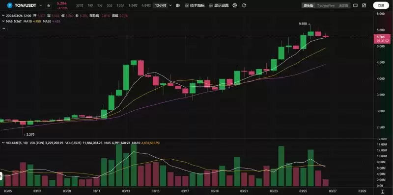 Ton会不会成为Solana挑战者?TON币未来行情分析