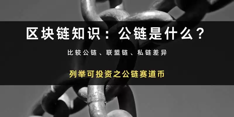 公链是什么意思?公链有哪些加密货币与区块链可以投资?