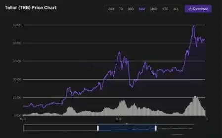 Tellor（TRB）是什么？TRB币暴涨原因及未来前景解析