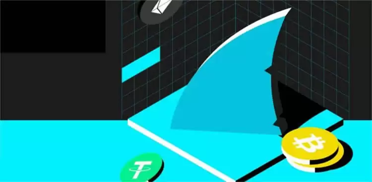 鲨鱼鳍结构化理财产品是什么?优势是什么?