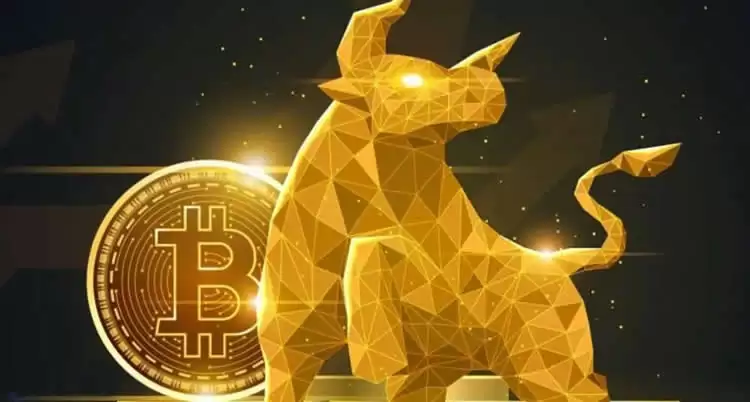 比特币经历了几个牛市?比特币牛市是在减半前还是后?