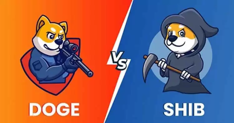 SHIB币和DOGE币相比较哪个潜力大？两者区别是什么？