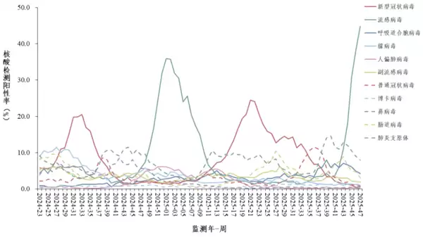 中国疾控：流感阳性率近45% 部分省份高流行