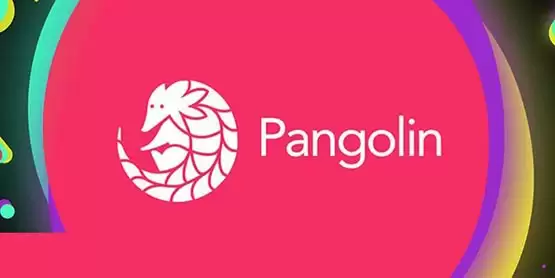 PNG是什么币种?一文了解PNG币