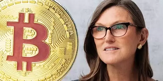 女股神:方舟比特币现货ETF本周获批!大量机构资金将涌入