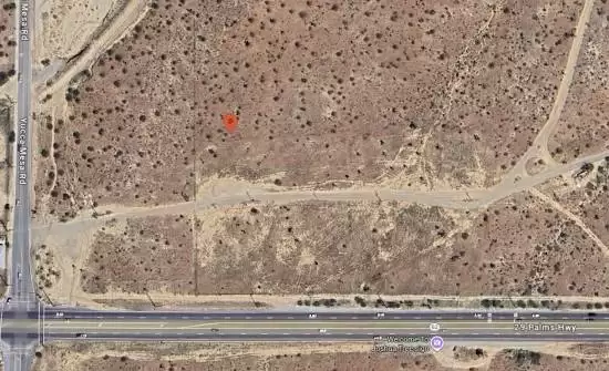 神秘雕像引热议 新作身份成谜